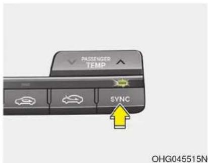 PASSenger TEMP SYNC OHG045515N