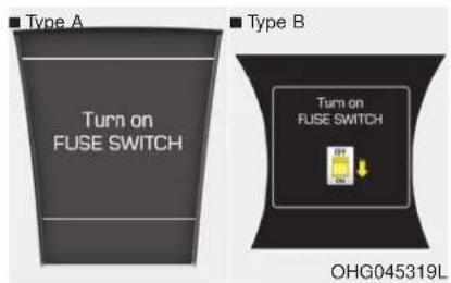 Type A Turn on FUSE SWITCH Type B Turn on FUSE SWITCH OHG045319L