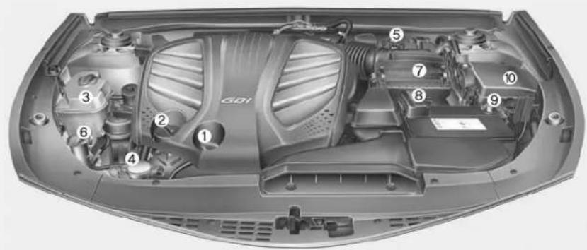 Technical diagram of a car engine bay with numbered components for identification