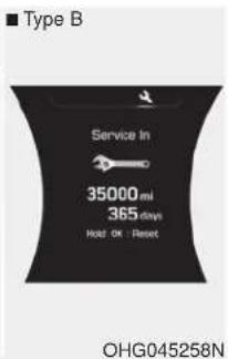 ■ Type B Service In 35000 mi 365 days Holt OK : Reset OHG045258N