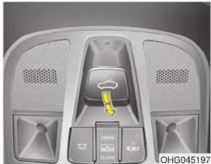 HYUNDAI Azera (2016) - WARNING - 1