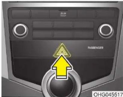 PASSENGER OHG045517