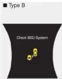 Type B Check BSD System