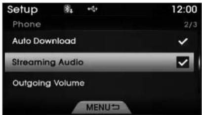 Setup Phone 2/3 Auto Download ✓ Streaming Audio ✓ Outgoing Volume MENU