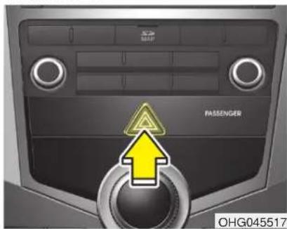 PASSENGER OHG045517