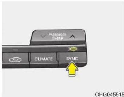PASSENGER TEMP CLIMATE SYNC OHG045515