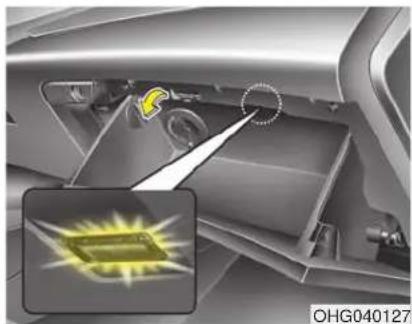 HYUNDAI Azera (2016) - Door courtesy lamp - 1