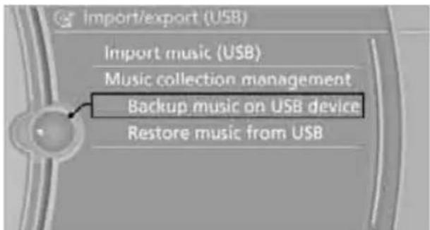BMW Z4 sDrive30i Roadster (2009) - "Backup music on USB device" - 1