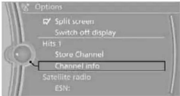 BMW Z4 sDrive30i Roadster (2009) - "Channel info" - 1
