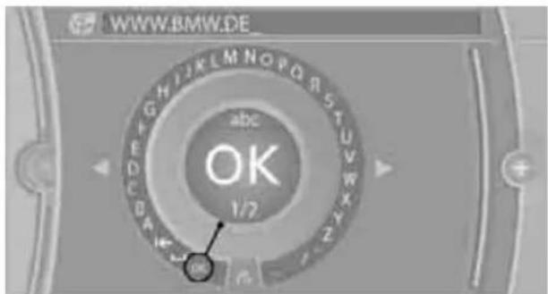 BMW Z4 sDrive30i Roadster (2009) - Entering an Internet address - 1