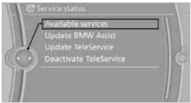 BMW Z4 sDrive30i Roadster (2009) - Services status - 1