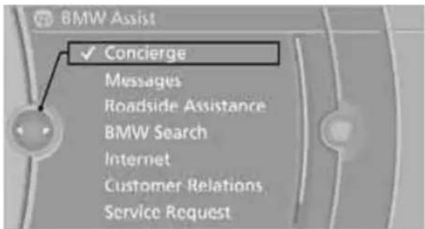 BMW Z4 sDrive30i Roadster (2009) - Starting the concierge service - 1
