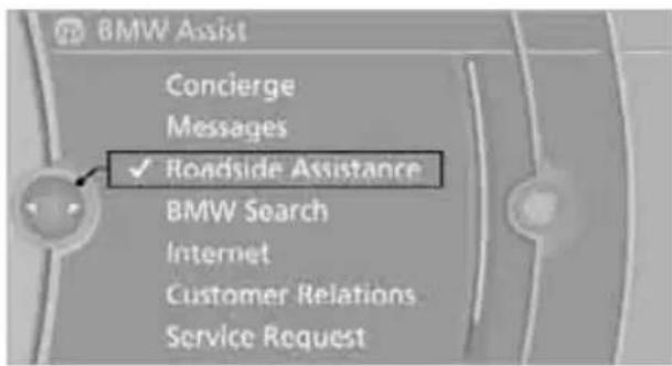 BMW Z4 sDrive30i Roadster (2009) - Vehicle not equipped with BMW Assist or TeleService - 1