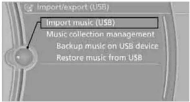 BMW Z4 sDrive30i Roadster (2009) - Storing from a USB device - 2