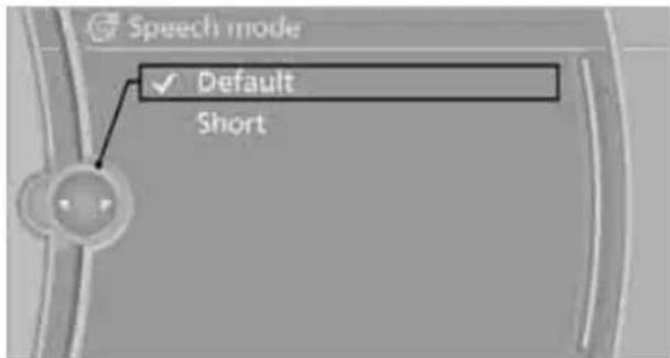 BMW Z4 sDrive30i Roadster (2009) - Setting the voice dialog - 1