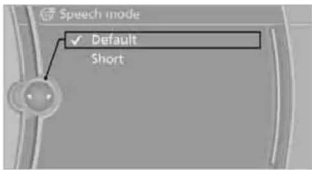 BMW Z4 sDrive30i Roadster (2009) - Setting the voice dialog - 1
