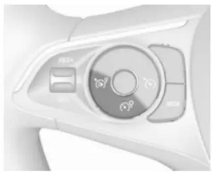 OPEL Grandland X (2017) - Geschwindigkeitsbegren- zer - 1