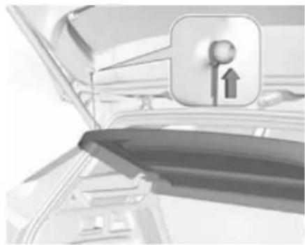 OPEL Grandland X (2017) - Laderaumabdeckung - 1