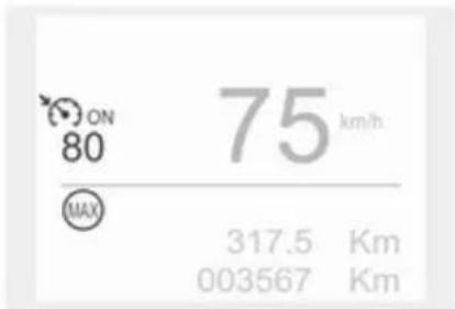 OPEL Grandland X (2017) - Geschwindigkeitsregler - 4