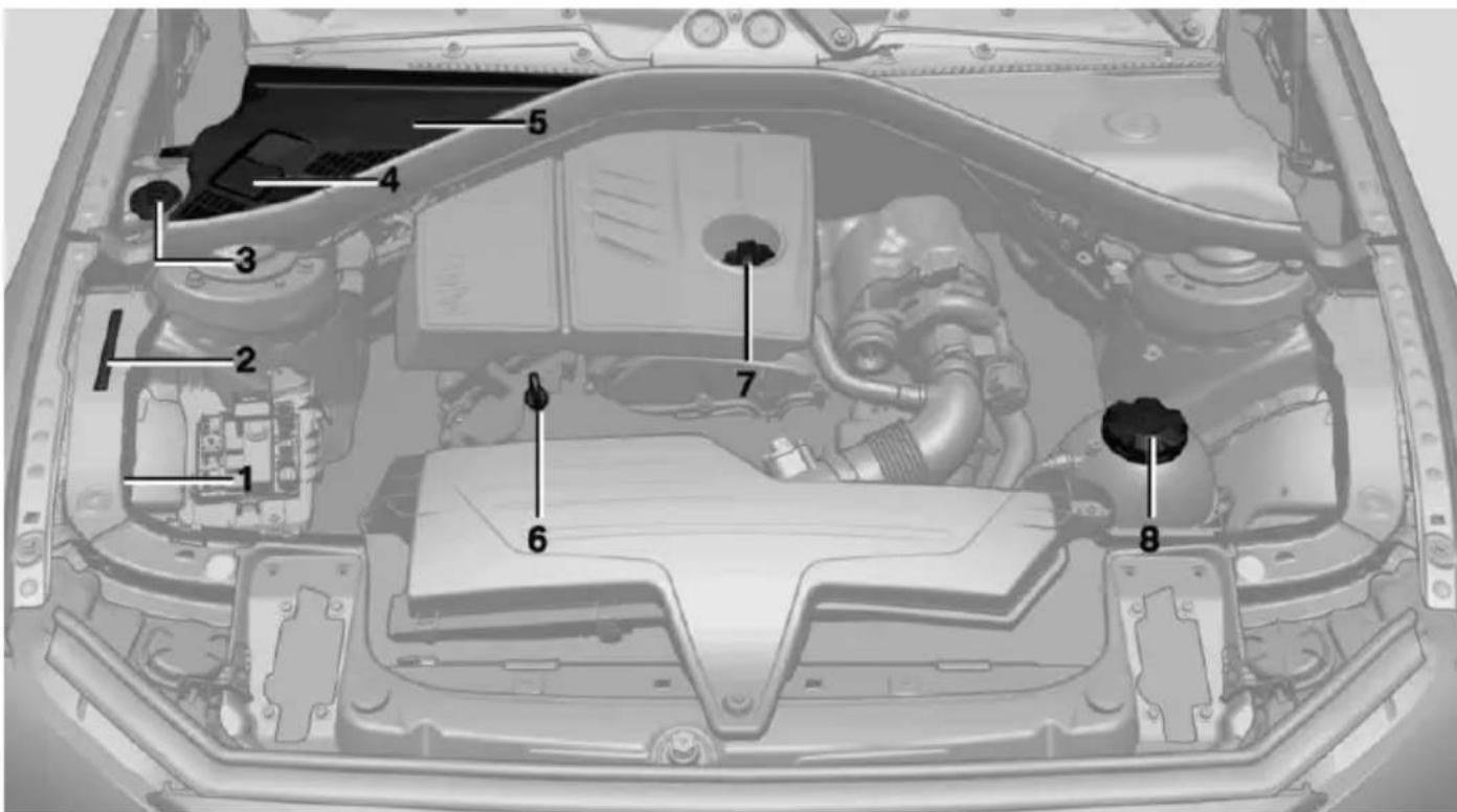 BMW 228i Coupe (2014) - Vehicle equipment - 1