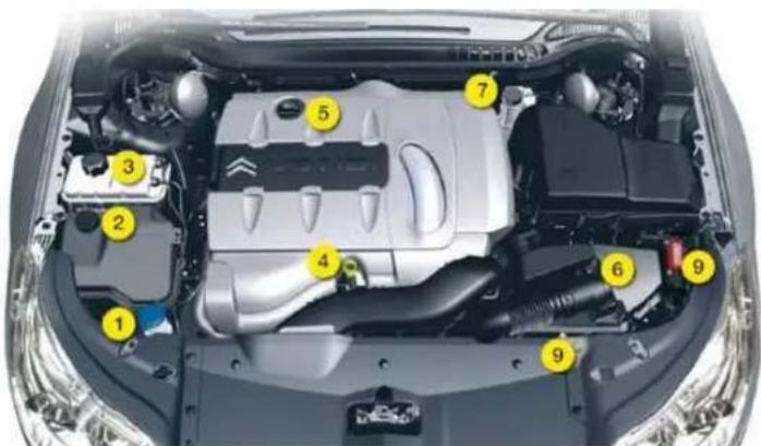 Labeled diagram of a car engine bay with numbered components for identification