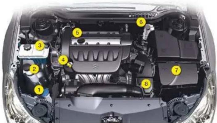 Labeled diagram of a car engine bay with numbered components for identification