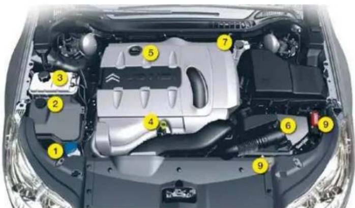 Labeled diagram of a car engine bay with numbered components for identification