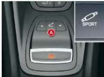 M S A SPORT