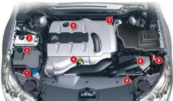 Labeled diagram of a car engine bay with numbered components for identification