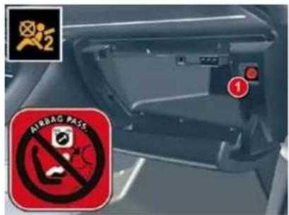 AIRBAG PASS 1