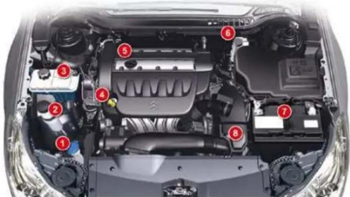 Labeled diagram of a car engine bay with numbered components for identification