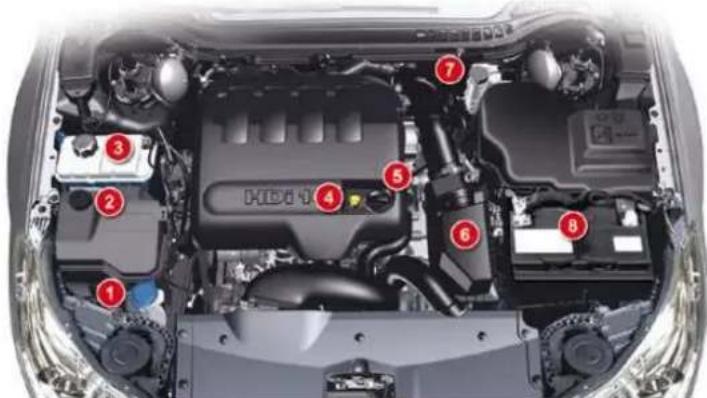 Labeled diagram of a car engine bay showing numbered components for identification