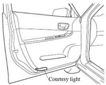 Courtesy light