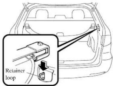 Retainer loop