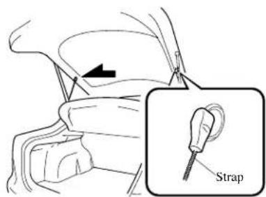 Strap