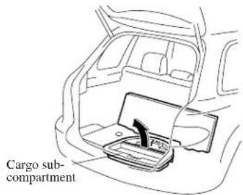 Cargo sub- compartment