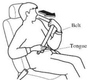 Belt Tongue