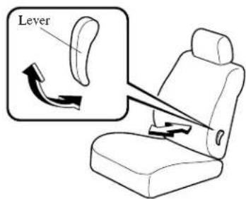 Lever