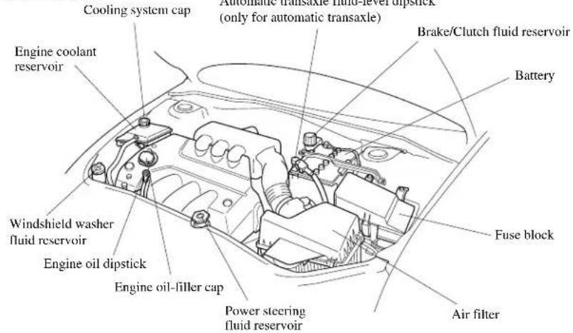 Cooling system cap Automotive transaxle fluid level dipstick (only for automatic transaxle) Brake/Clutch fluid reservoir Battery Engine coolant reservoir Windshield washer fluid reservoir Engine oil dipstick Engine oil-filler cap Power steering fluid reservoir Fuse block Air filter