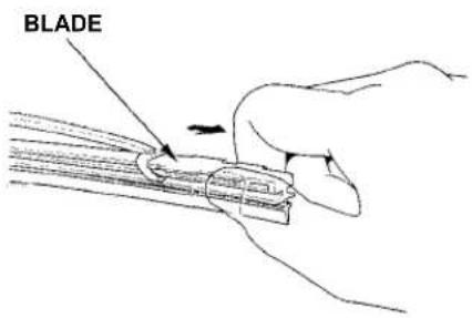 Honda Accord Coupe (2001) - Wiper Blades - 1