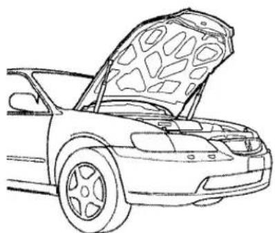 Honda Accord Coupe (2001) - Opening the Hood - 4