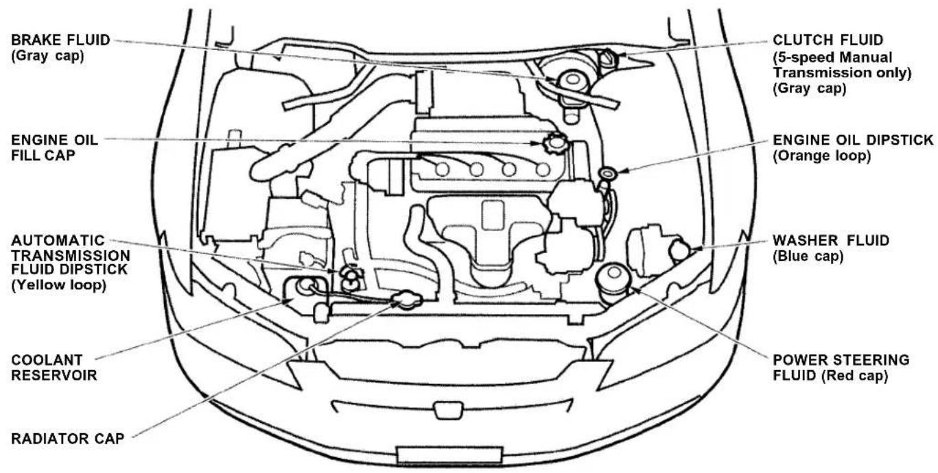 Honda Accord Coupe (2001) - Fluid Locations - 1
