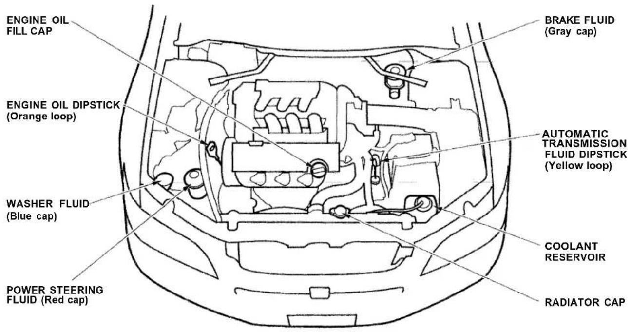 Honda Accord Coupe (2001) - Fluid Locations - 1