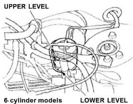 Honda Accord Coupe (2001) - Brake and Clutch Fluid, Power Steering - 1