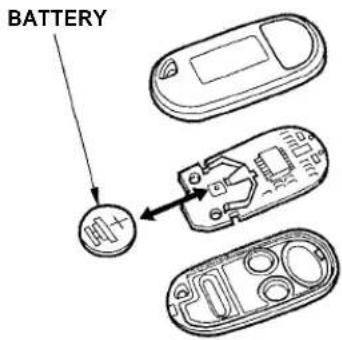 Honda Accord Coupe (2001) - Replacing the Battery - 2