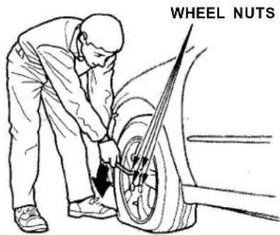 Honda Accord Coupe (2001) - Changing a Flat Tire - 3