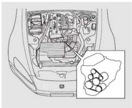 Honda S2000 (2002) - Drive Belt - 1