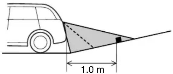 1.0 m