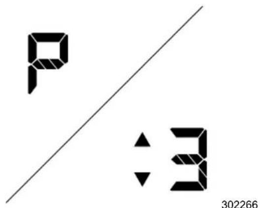 P :3 302266
