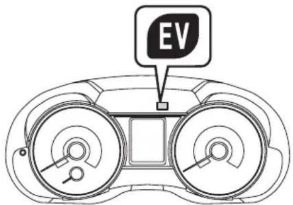 EV